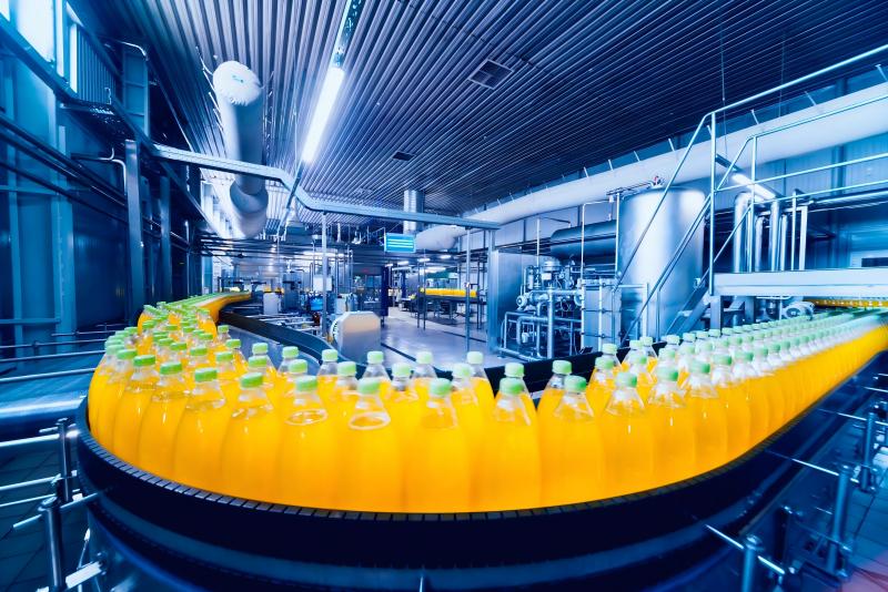 Hydraulic Presses in Food Processing