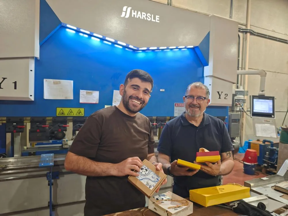 Press Brake Technical Support