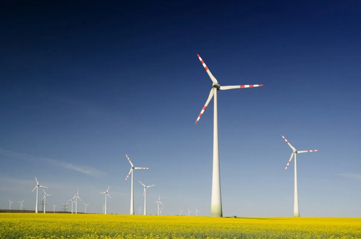 Wind turbines in a field